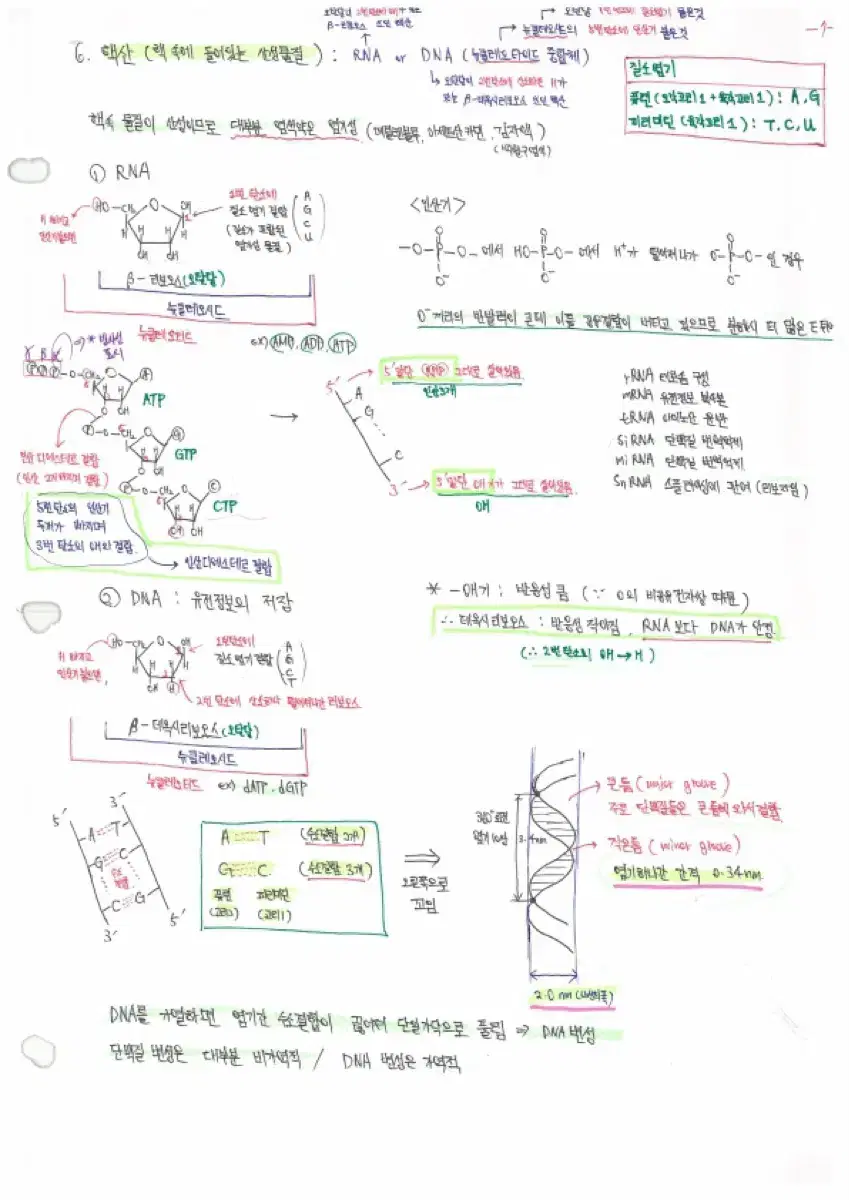 PEET 약대 합격생 생물 필기노트(백분위:99.3%)-피트생물